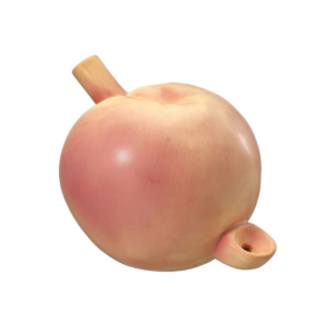 Fashion Craft Ceramic Hand Pipe - Peach