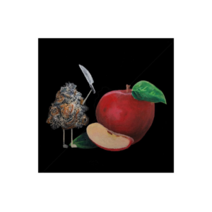 Nugtopia 11x14 Print - Jungle Apples