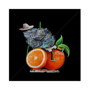 Nugtopia 11x14 Print - Orange Cookies