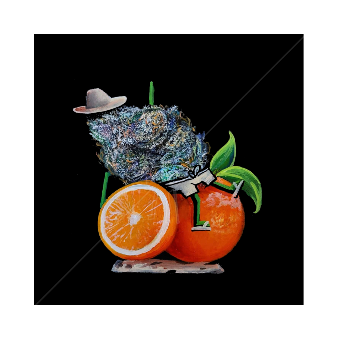 Nugtopia 11x14 Print - Orange Cookies